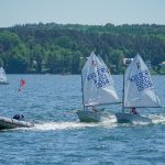 Segeljollen Optimist auf dem Scharmützelsee